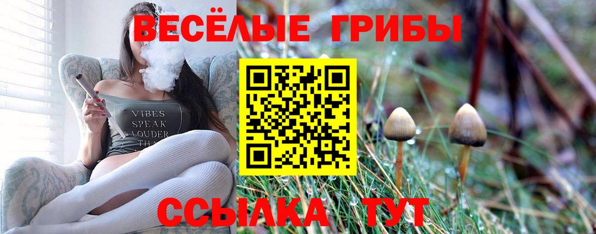 Псилоцибиновые грибы ЛСД  Вход с VPN  Псилоцибиновые грибы мицелий  Углич 