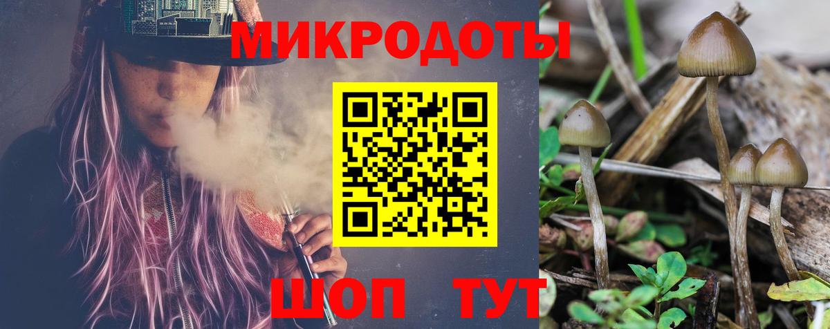 Галлюциногенные грибы Psilocybe Углич